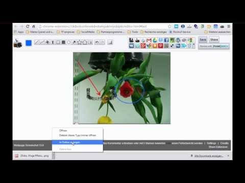 Bilder erstellen mit dem Google Chrome Plugin - Webseiten Screenshot oder Webpage Screenshot