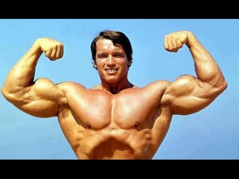 Arnold Schwarzenegger Dokumentation