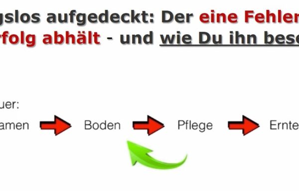 Digital Moneymaker Freiheitscoaching